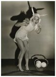 Onbekende Hollywood eastern bunny Onbekende Hollywood eastern bunny