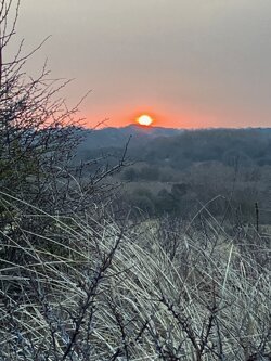 Ochtendgloren in de Haagse duinen.