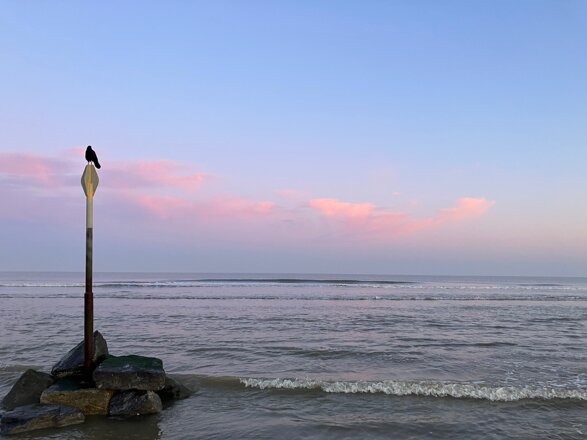 De Noordzee bij Meijendel.