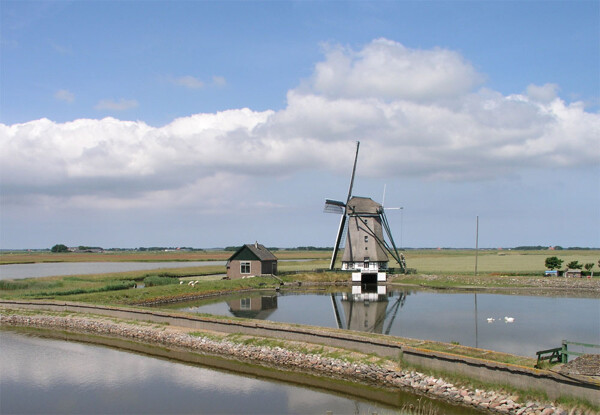 Texel 2003, zie website www.ikhouvanholland.info Texel 2003, zie website www.ikhouvanholland.info